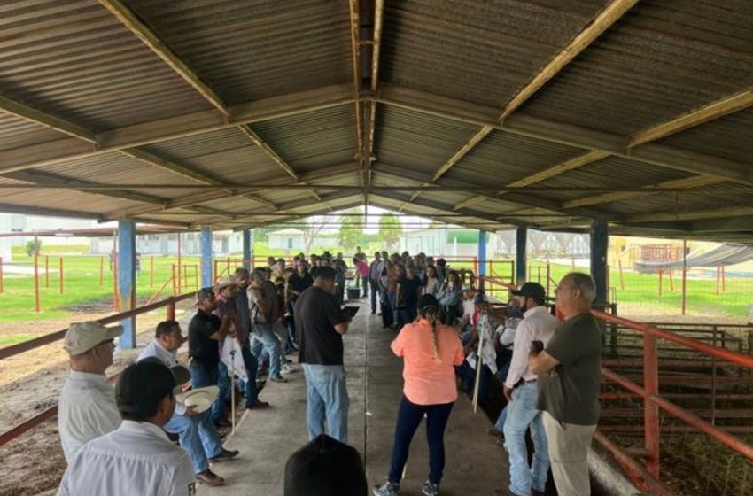  Refuerza la UAT brigadas de contención frente al gusano barrenador en Tamaulipas