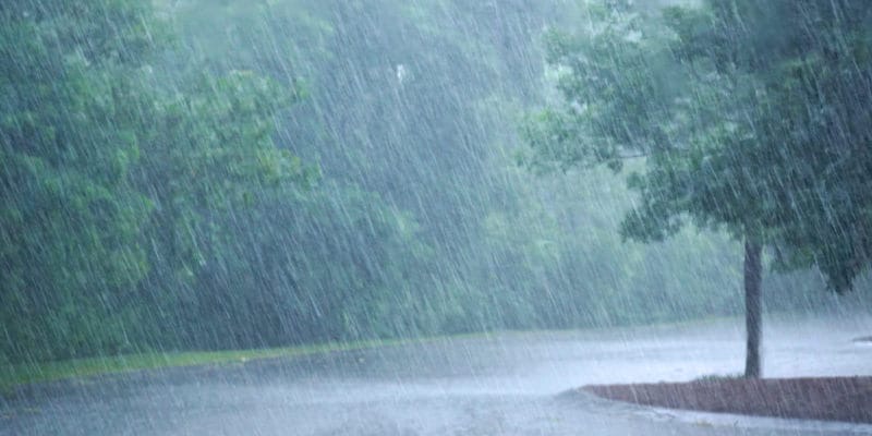  Abundantes lluvias devuelven la esperanza a los ganaderos de Palmillas